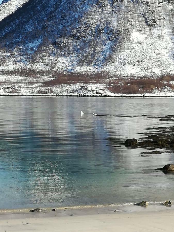 Midnattsolveien 3158,Sommarhusstrand Laukvik Lofoten Norway Exterior photo
